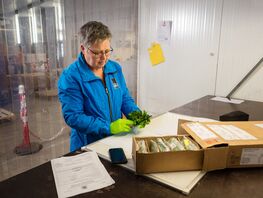 Картофель из&nbsp;России не&nbsp;пропустили в&nbsp;Кыргызстан 