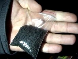 До&nbsp;80&nbsp;процентов случаев рака органов полости рта связаны с&nbsp;употреблением насвая 